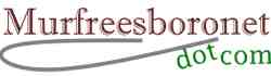 Murfreesboronet